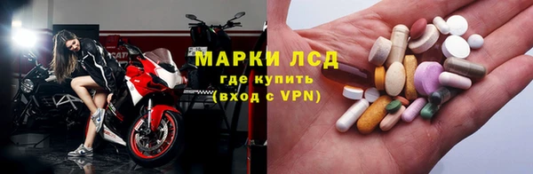 сатива Армянск
