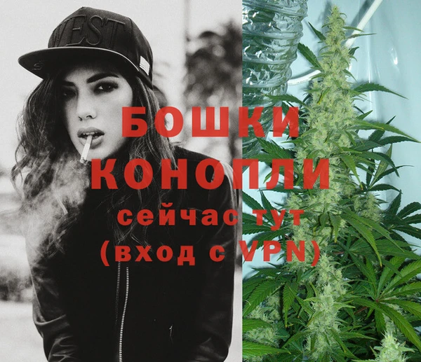 бошки Аркадак