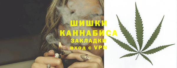 мет Арсеньев