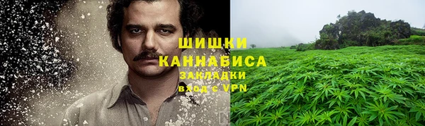 сатива Армянск