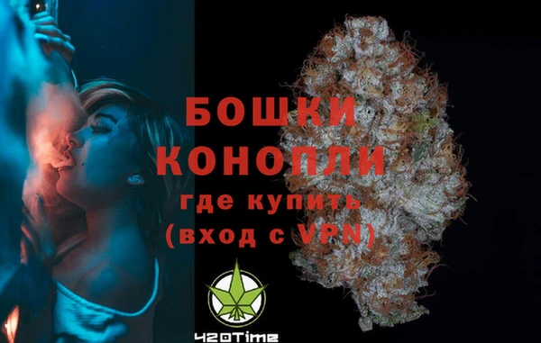 бошки Аркадак