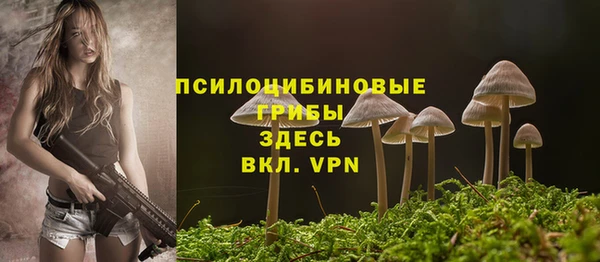 мет Арсеньев