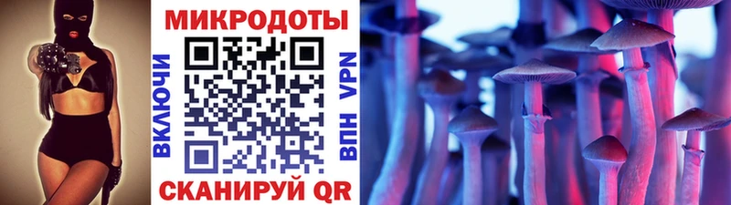 blacksprut ССЫЛКА  Пущино  Псилоцибиновые грибы MAGIC MUSHROOMS 